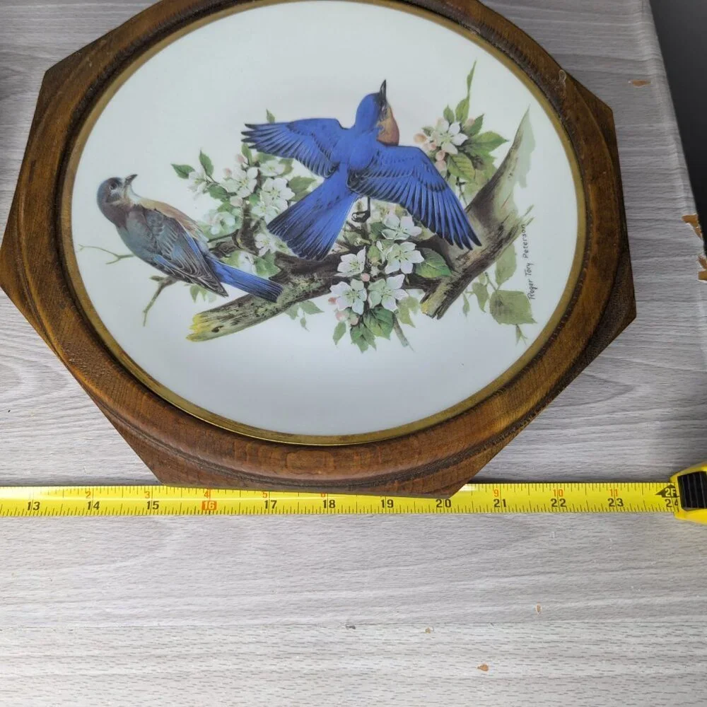 Vintage Roger Tory Peterson Flickers & Bluebird Ceramic Plates Framed 24 kt Gold